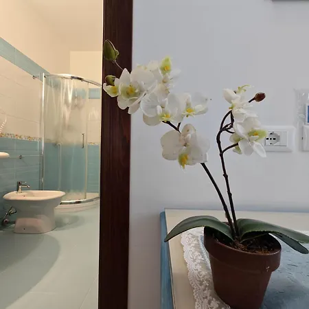 Orchidea Bed & Breakfast 3*